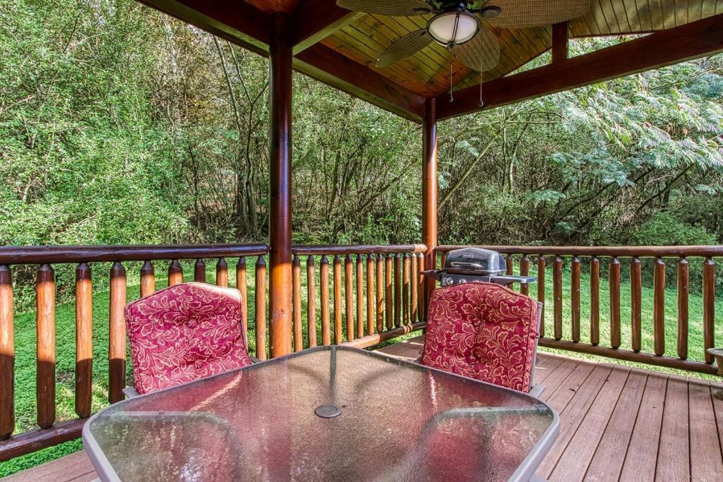 Papa Bear, Hot Tub, Wifi, 1089 Free Tickets Each Paid Day, Dollywood And More Sevierville Εξωτερικό φωτογραφία