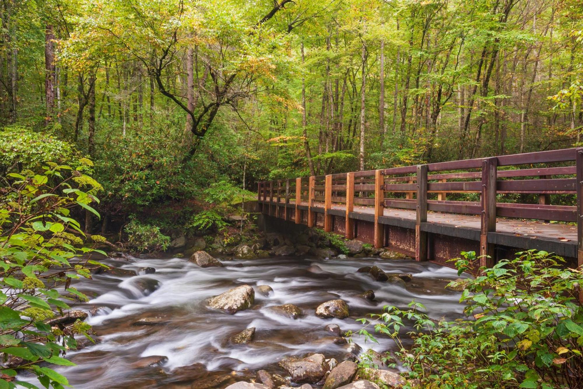 Papa Bear, Hot Tub, Wifi, 1089 Free Tickets Each Paid Day, Dollywood And More Sevierville Εξωτερικό φωτογραφία